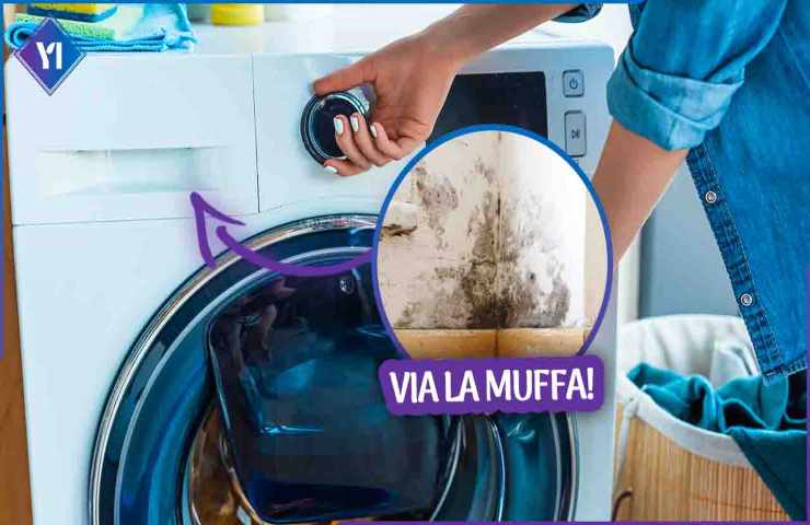 Muffa vaschetta lavatrice trucco ecologico 