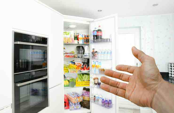 calamite frigorifero danneggiano parere esperti