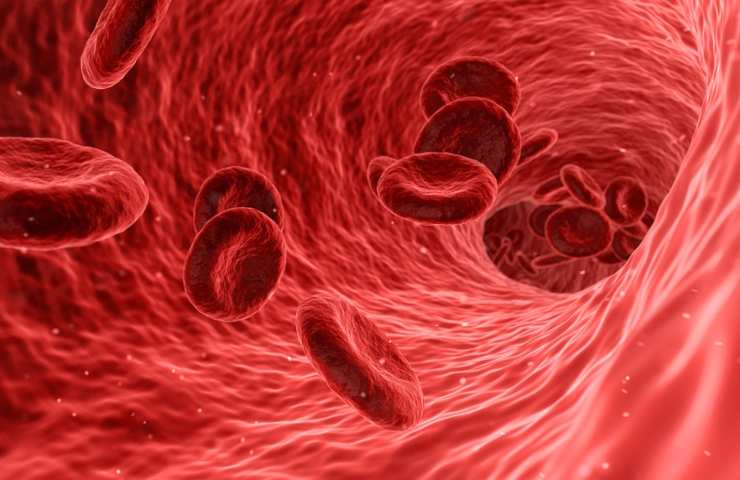 globuli rossi tumore sangue 
