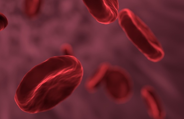 globuli rossi sangue tumore