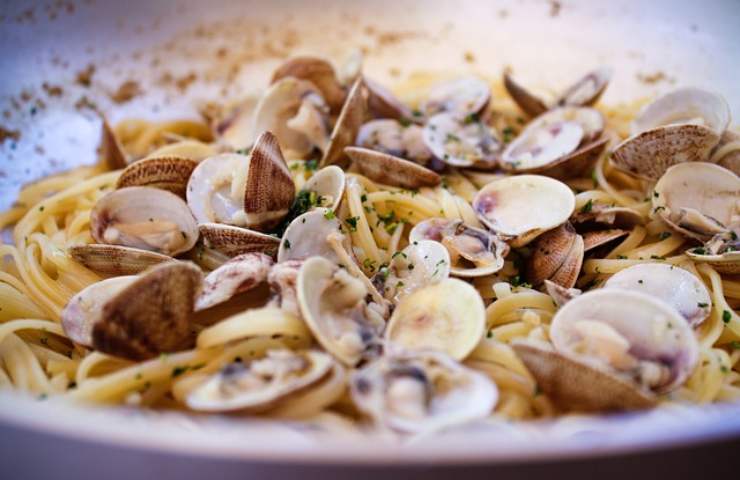 sugo vongole alici