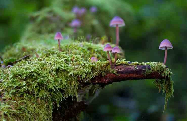 rigenerarsi grazie all'autunno