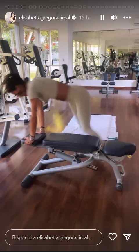 Elisabetta Gregoraci esercizi in palestra foto