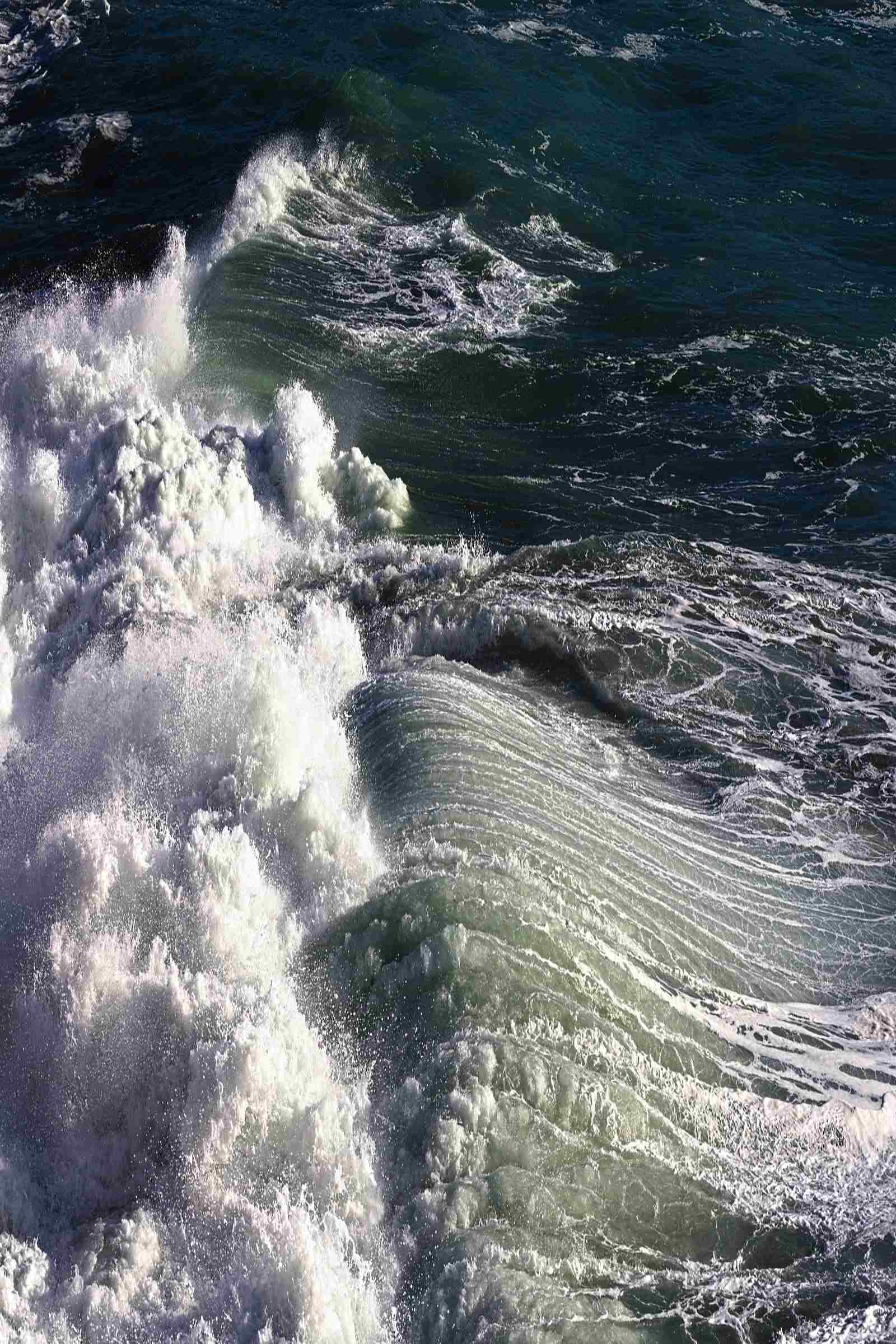 ragazza precipita in mare da una crociera