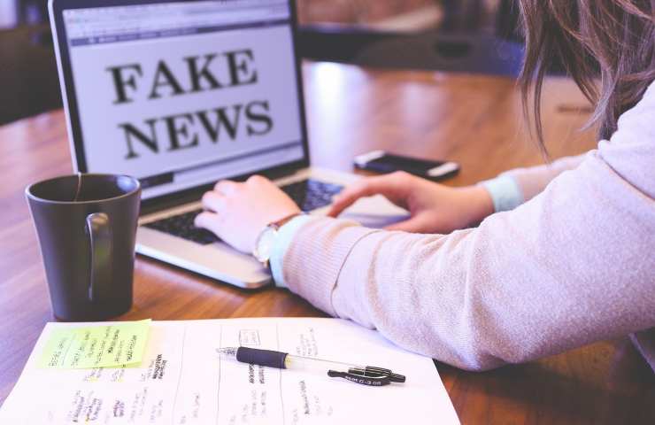 Fake news ragni marini 