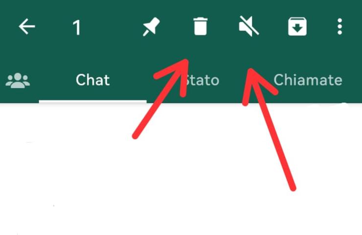 whatsapp eliminare chat