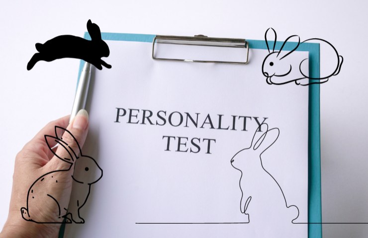 Test personalità trova 8 conigli immagine
