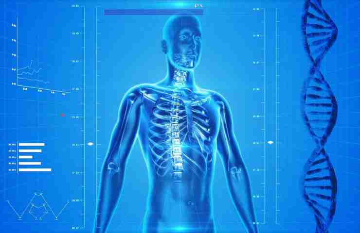 DNA, 70 anni fa la grande scoperta: 