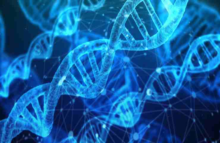 DNA, 70 anni fa la grande scoperta: 